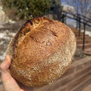Table Loaf- Whole Wheat and Rye - Plain or Multi-seed